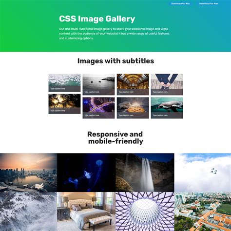 Image Galleries .